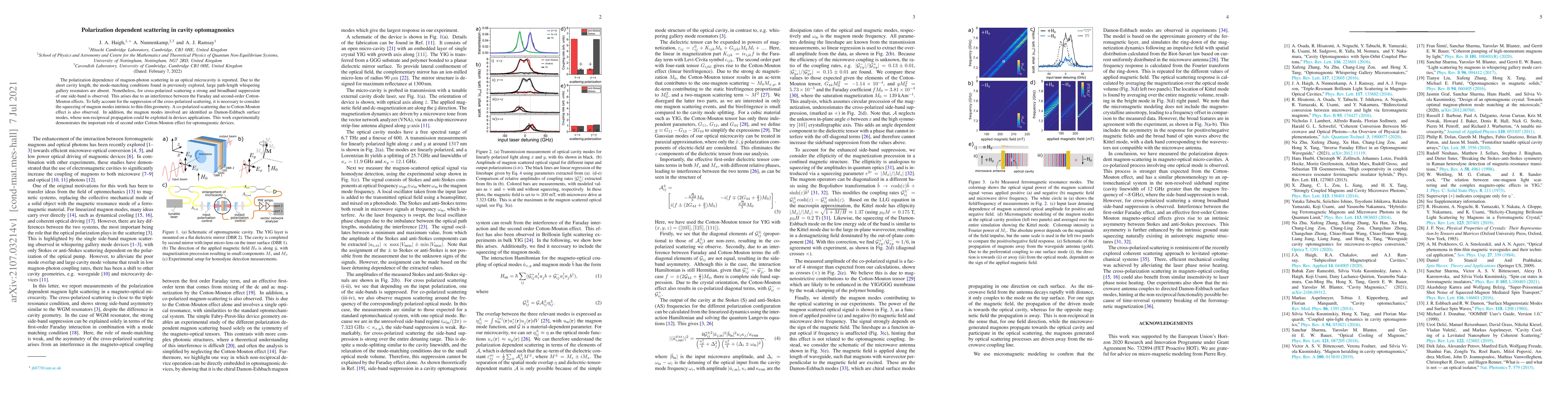 Thumbnail for Polarization dependent scattering in cavity optomagnonics