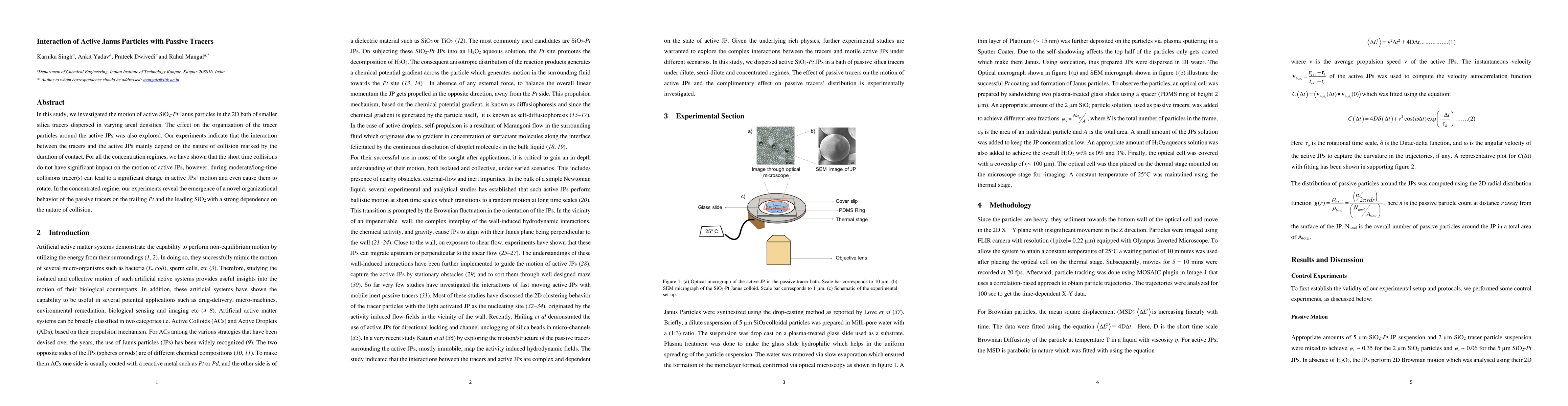 Thumbnail for Interaction of Active Janus Particles with Passive Tracers