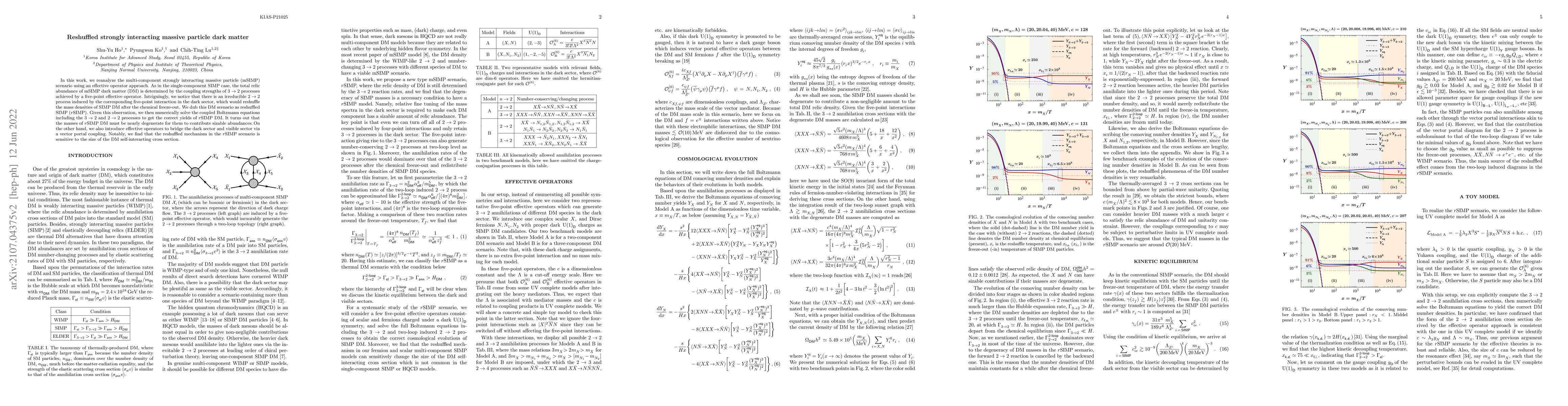 Thumbnail for Reshuffled Strongly Interacting Massive Particle Dark Matter