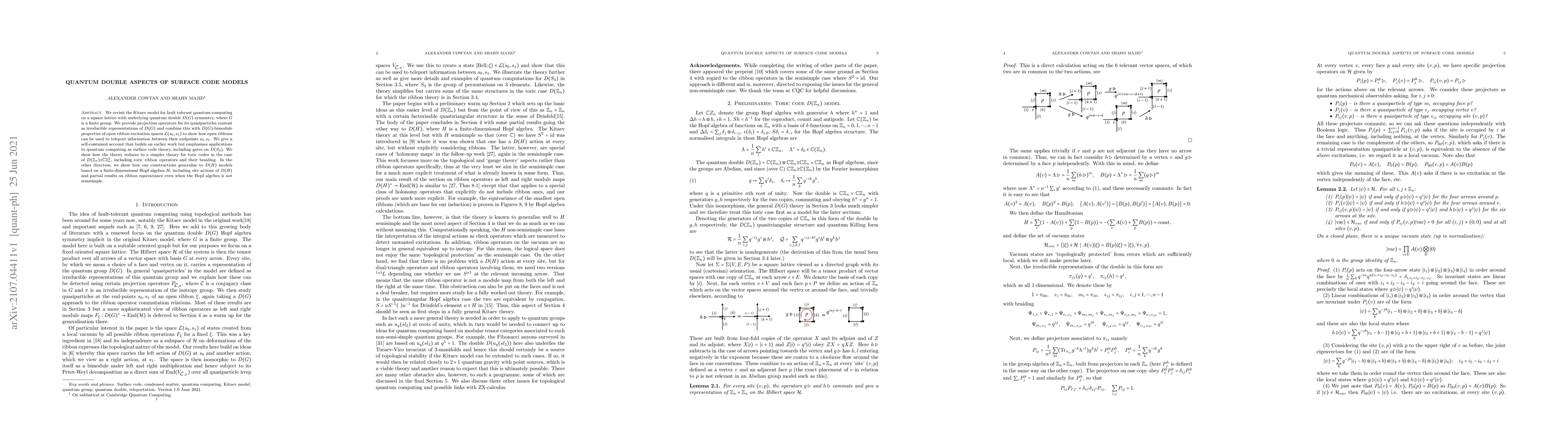 Thumbnail for Quantum double aspects of surface code models