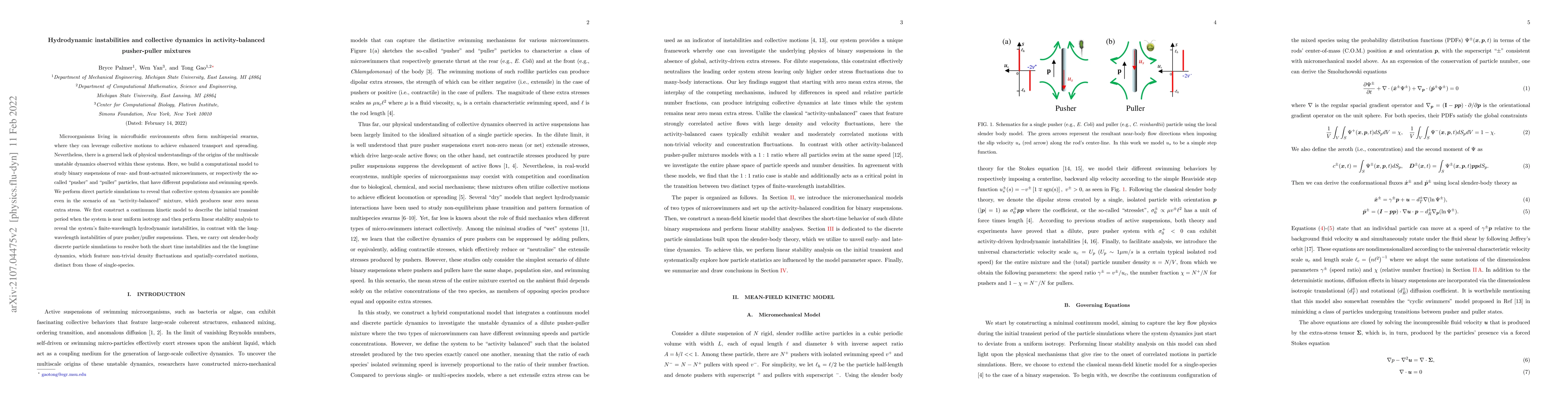 Thumbnail for Hydrodynamic instabilities and collective dynamics in activity-balanced
  pusher-puller mixtures