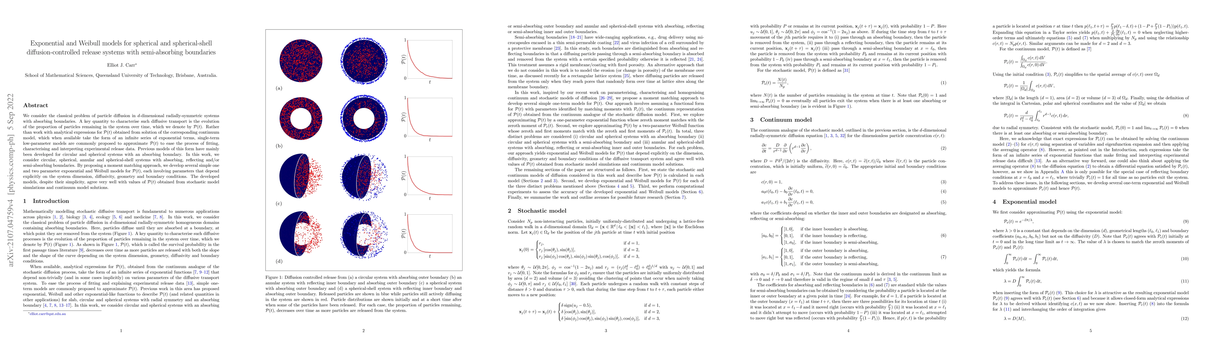 Thumbnail for Exponential and Weibull models for spherical and spherical-shell
  diffusion-controlled release systems with semi-absorbing boundaries