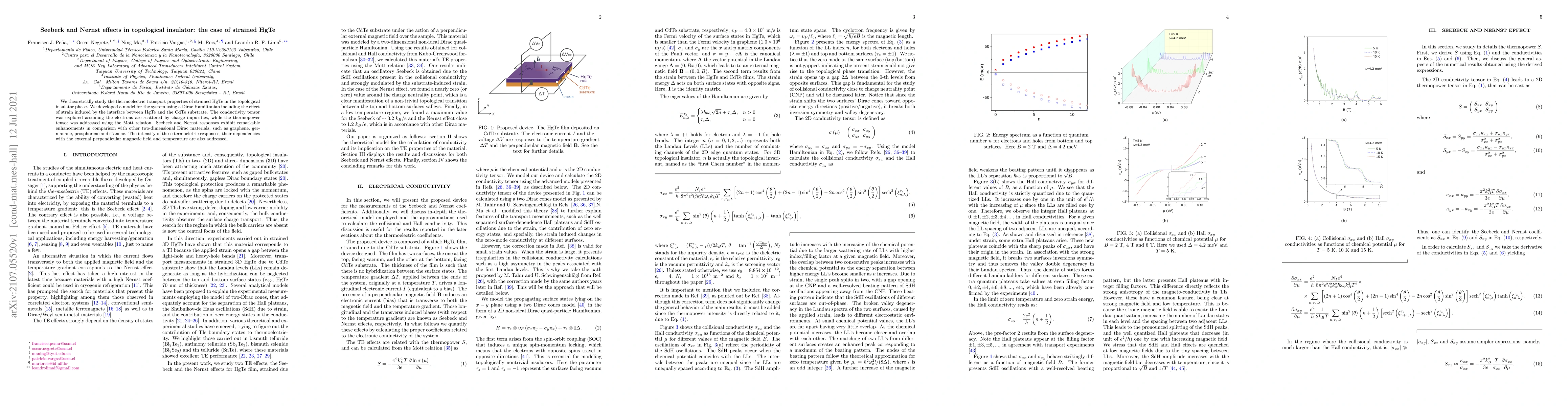 Thumbnail for Seebeck and Nernst effects in topological insulator: the case of
  strained HgTe