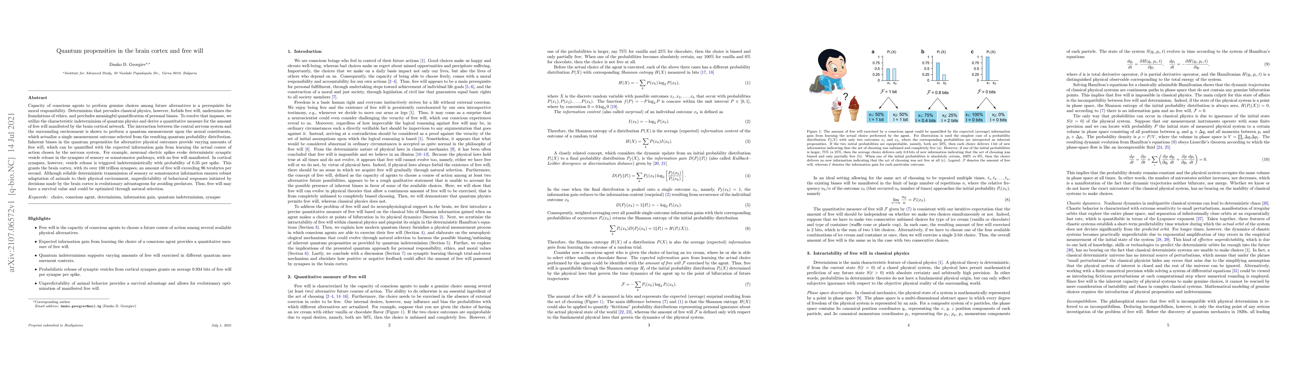Thumbnail for Quantum propensities in the brain cortex and free will