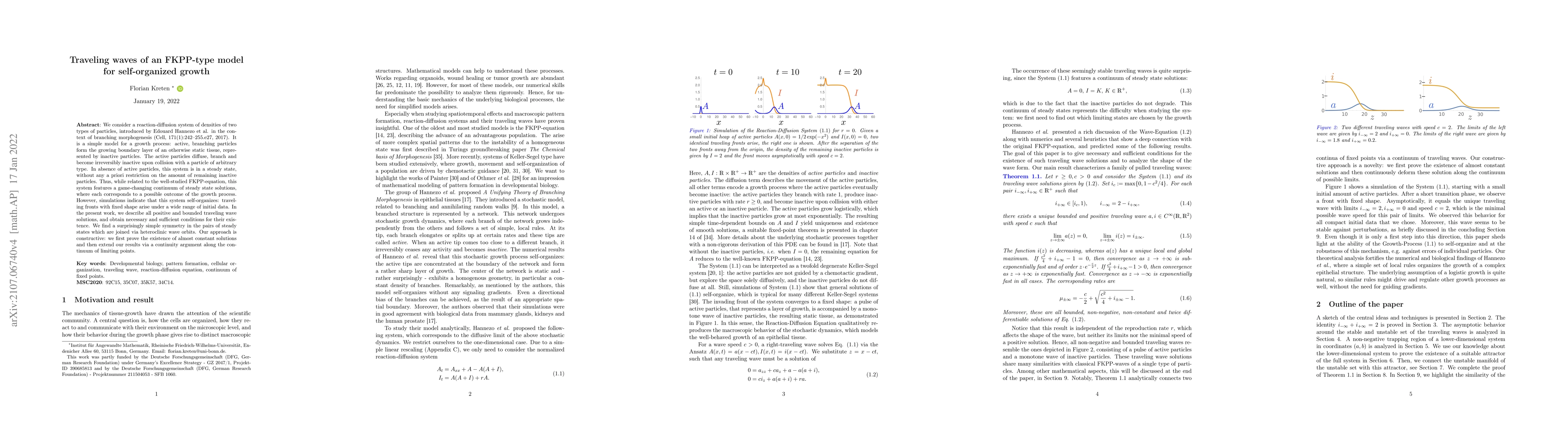 Thumbnail for Traveling waves of an FKPP-type model for self-organized growth