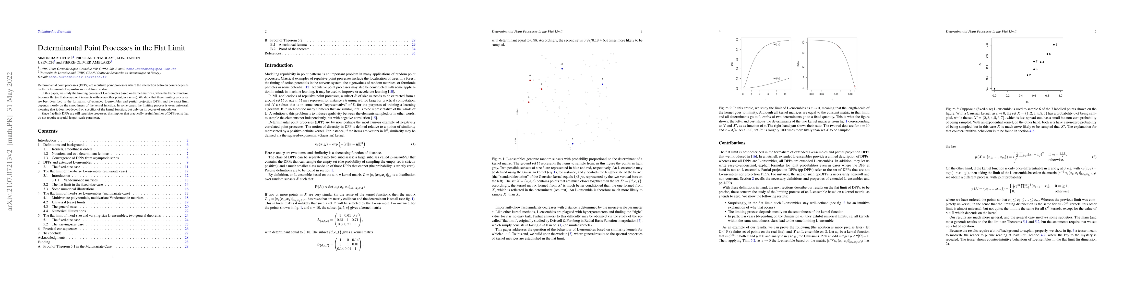 Thumbnail for Determinantal Point Processes in the Flat Limit