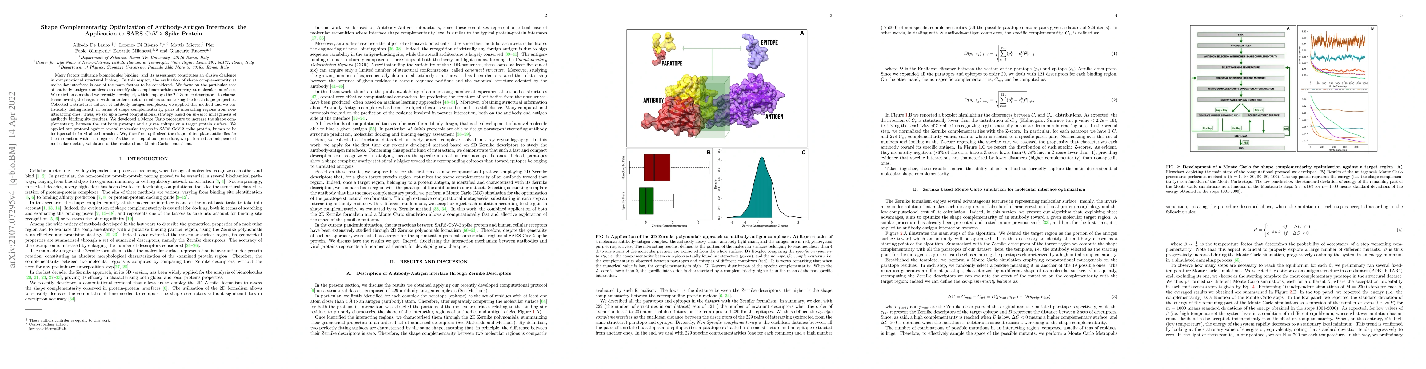 Thumbnail for Shape Complementarity Optimization of Antibody-Antigen Interfaces: the
  Application to SARS-CoV-2 Spike Protein