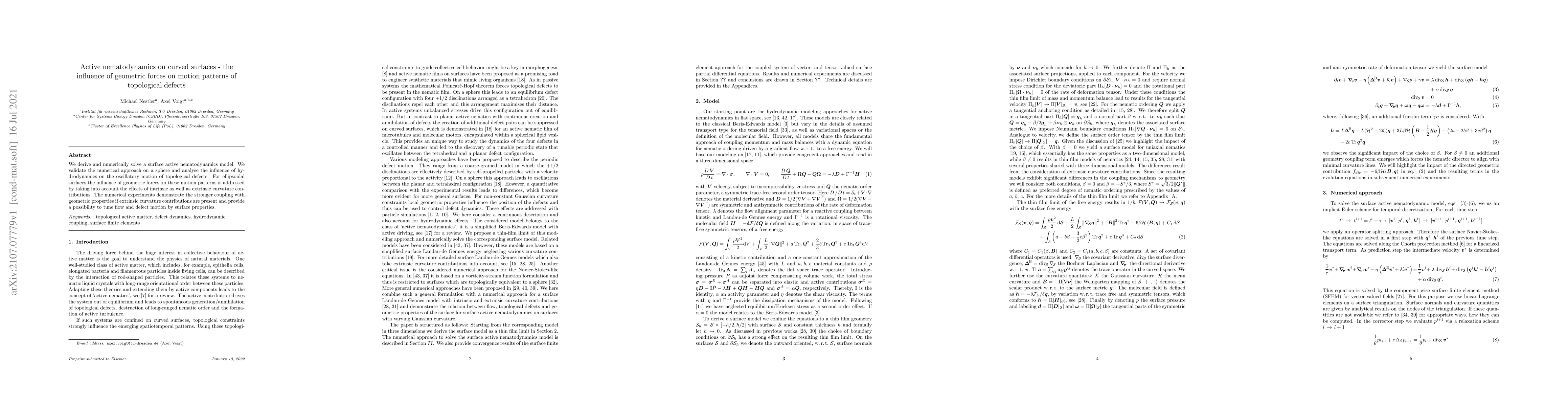 Thumbnail for Active nematodynamics on curved surfaces -- the influence of geometric
  forces on motion patterns of topological defects