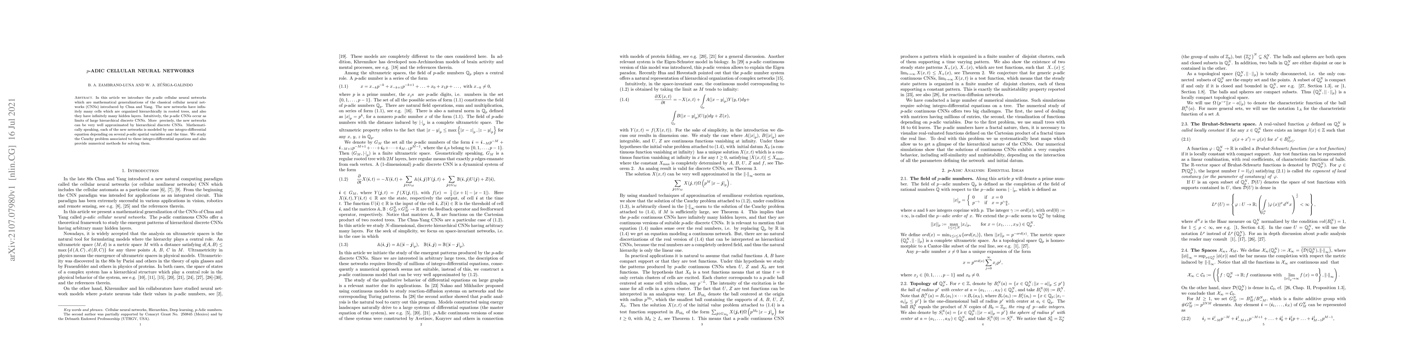 Thumbnail for p-adic Cellular Neural Networks
