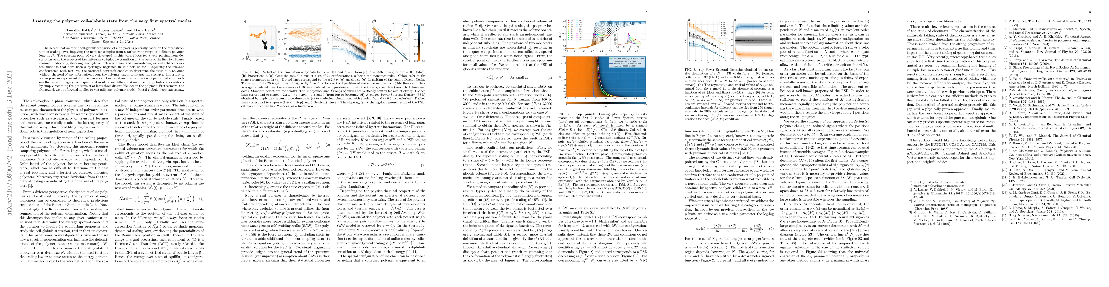 Thumbnail for Assessing the polymer coil-globule state from the very first spectral
  modes