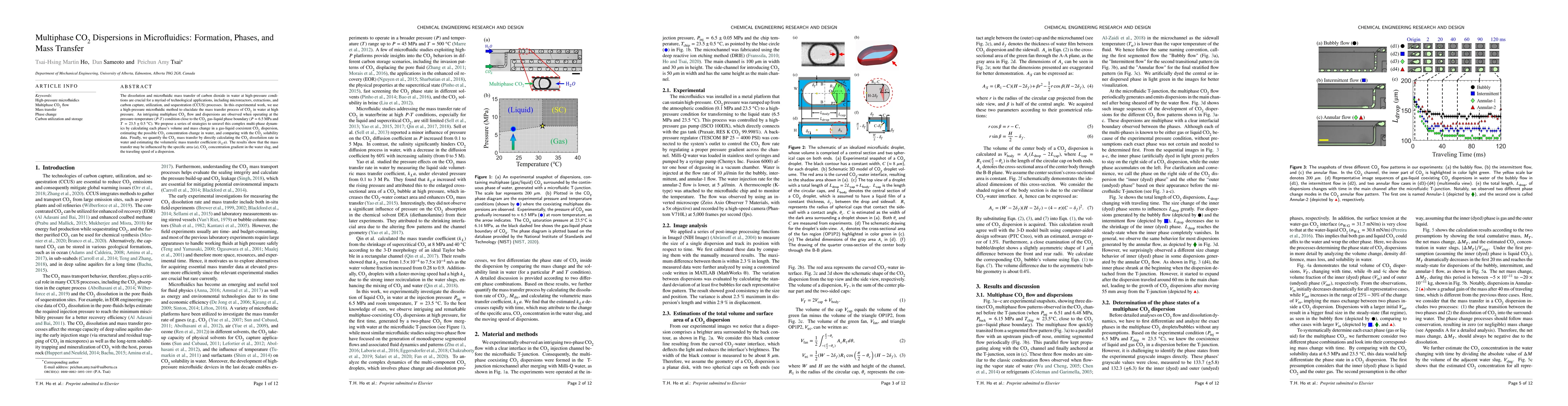 Thumbnail for Multiphase CO2 Dispersions in Microfluidics: Formation, Phases, and Mass
  Transfer