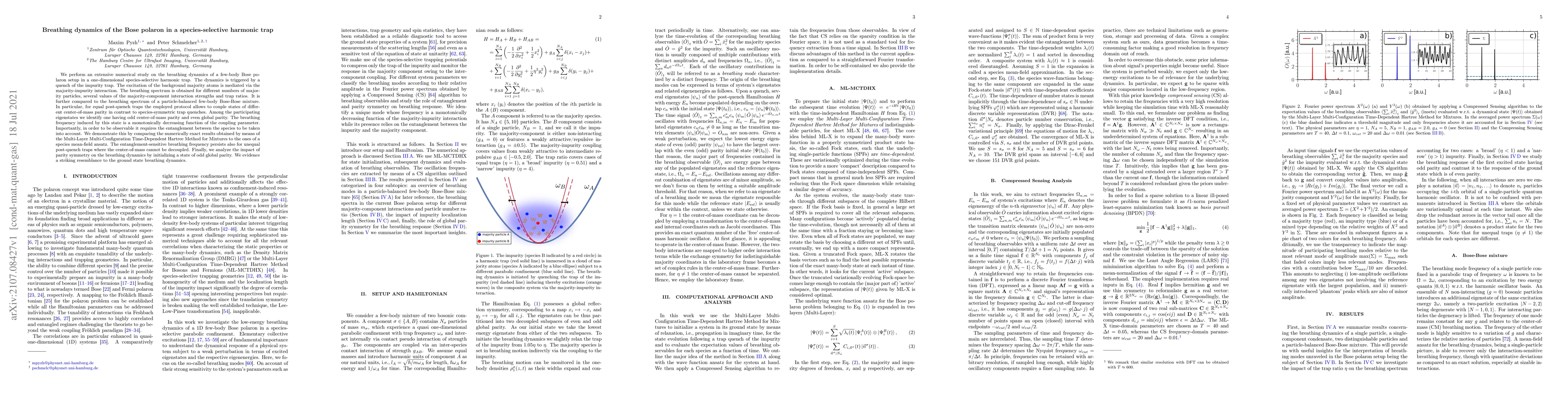 Thumbnail for Breathing dynamics of the Bose polaron in a species-selective harmonic
  trap