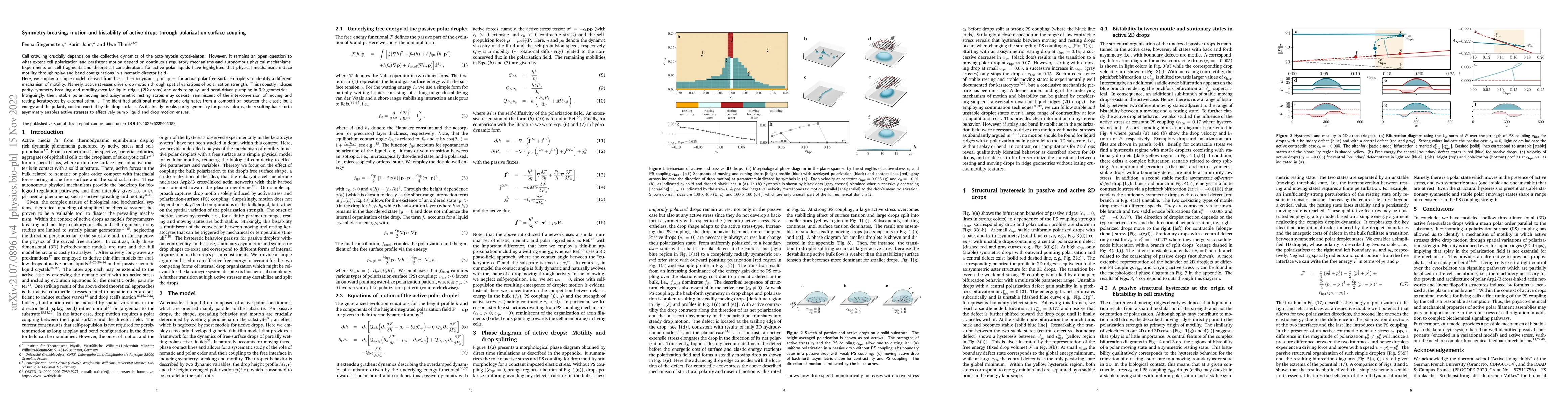 Thumbnail for Symmetry-breaking, motion and bistability of active drops through
  polarization-surface coupling