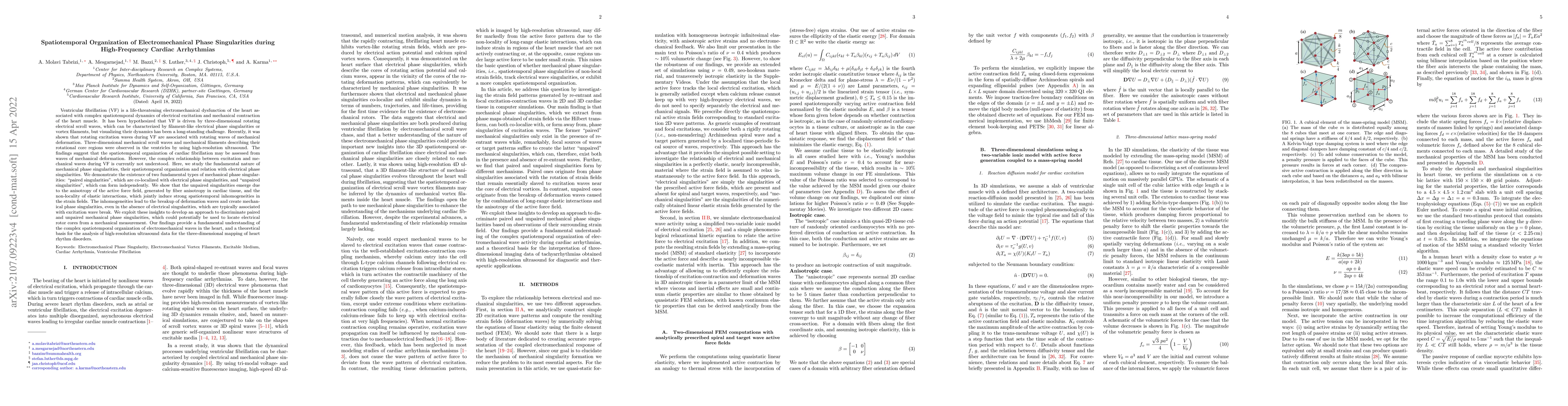 Thumbnail for Spatiotemporal Organization of Electromechanical Phase Singularities
  during High-Frequency Cardiac Arrhythmias