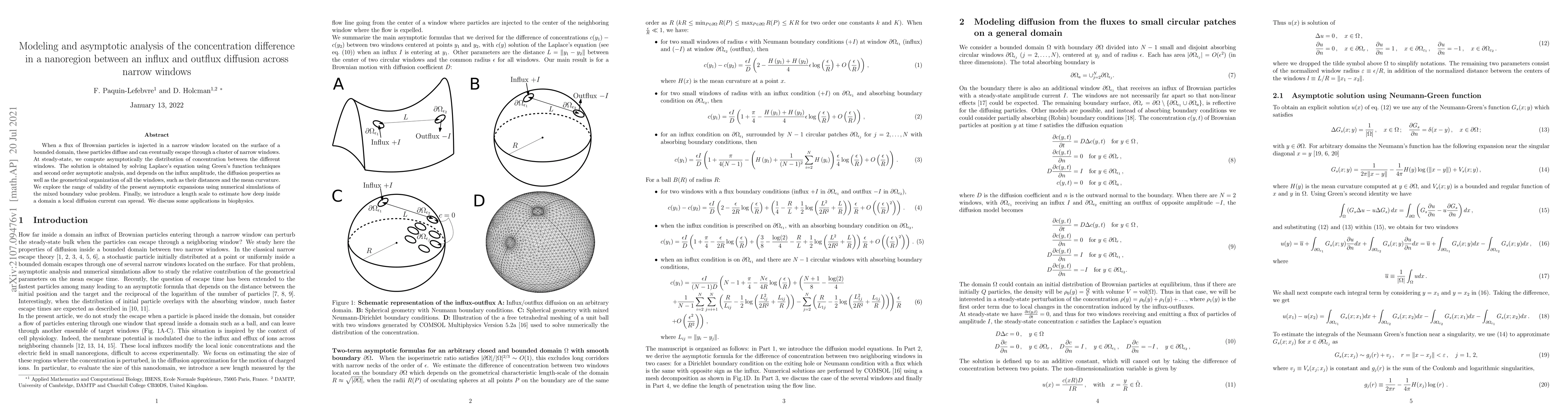 Thumbnail for Modeling and asymptotic analysis of the concentration difference in a
  nanoregion between an influx and outflux diffusion across narrow windows
