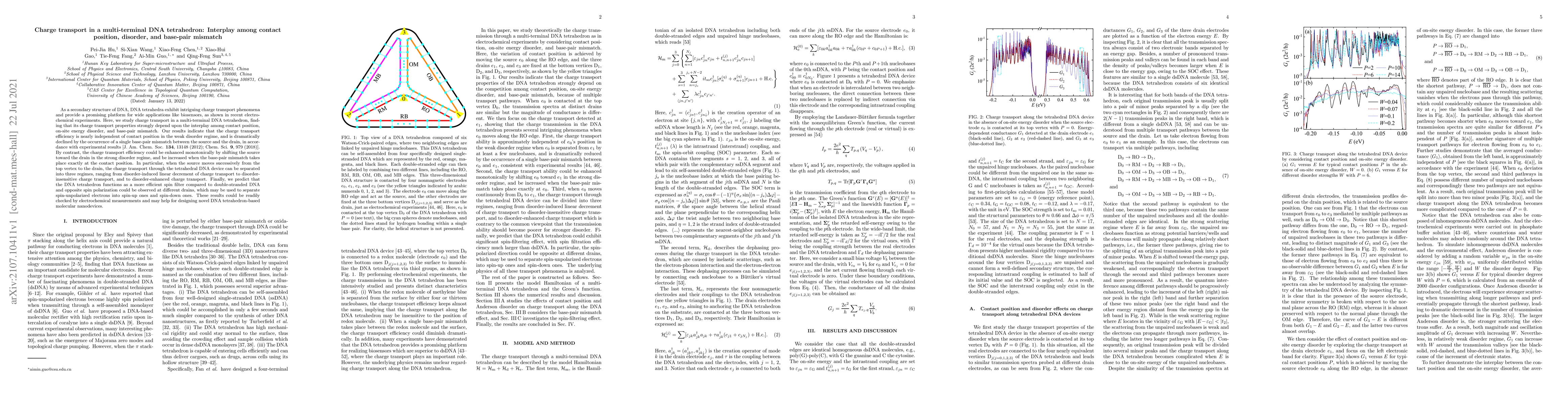 Thumbnail for Charge transport in a multi-terminal DNA tetrahedron: Interplay among
  contact position, disorder, and base-pair mismatch