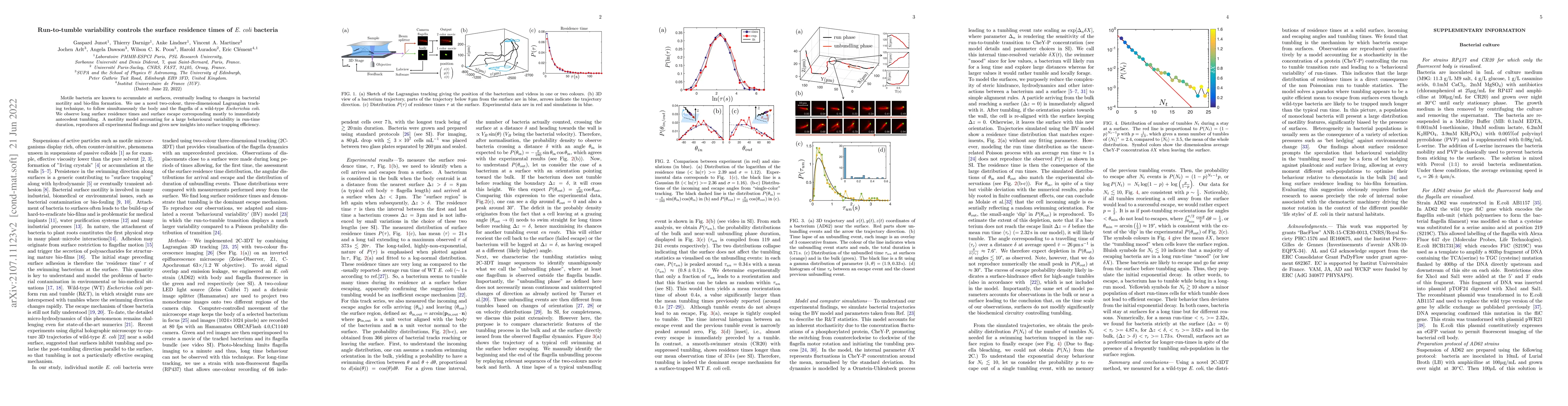 Thumbnail for Run-to-Tumble Variability Controls the Surface Residence Times of ${\it
  E.~coli}$ Bacteria