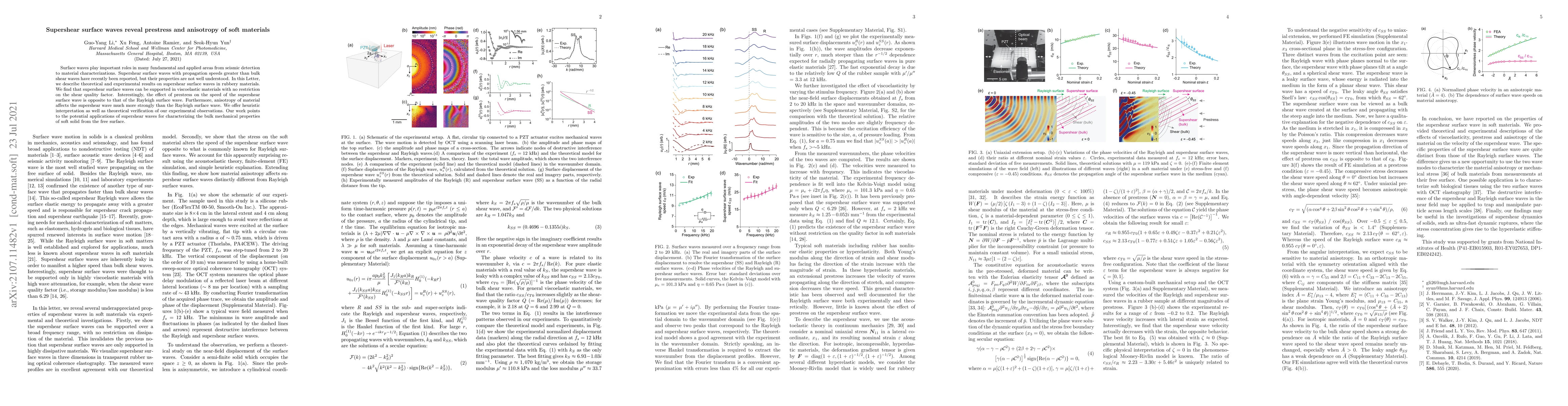 Thumbnail for Supershear surface waves reveal prestress and anisotropy of soft
  materials