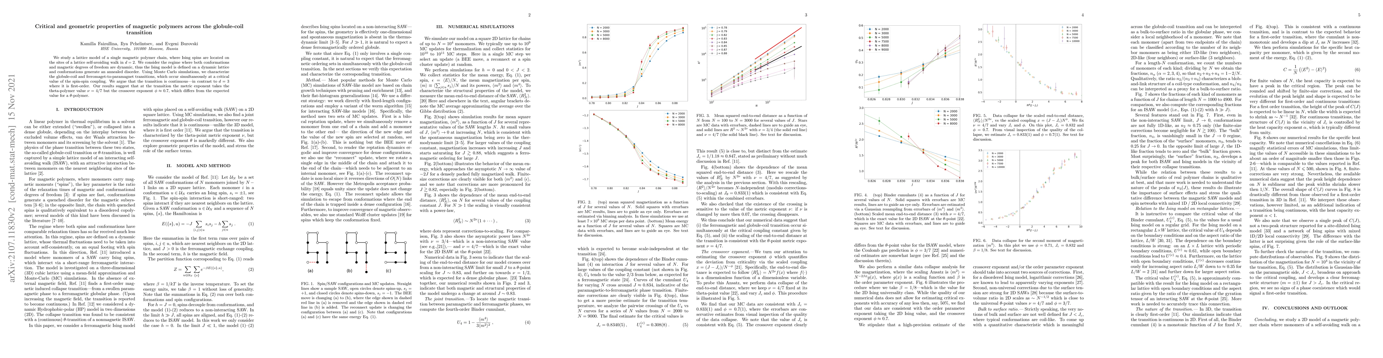Thumbnail for Critical and geometric properties of magnetic polymers across the
  globule-coil transition