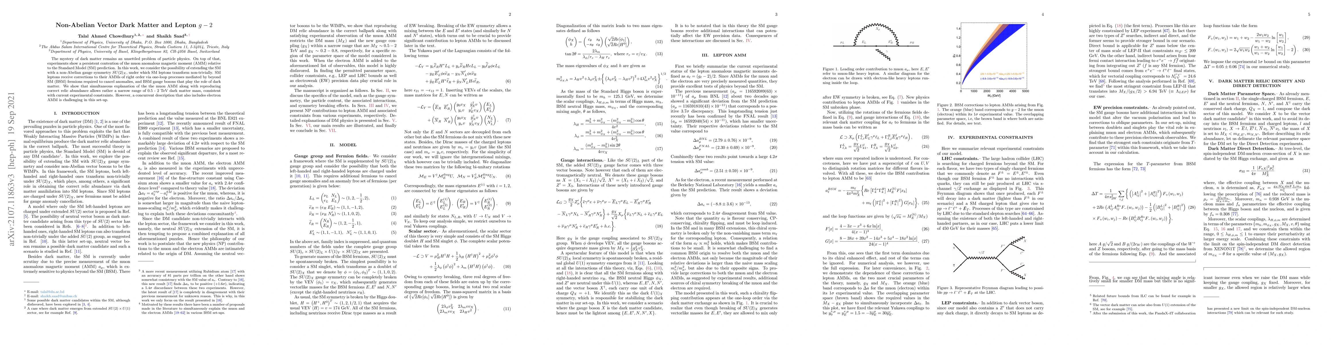 Thumbnail for Non-Abelian Vector Dark Matter and Lepton $g-2$