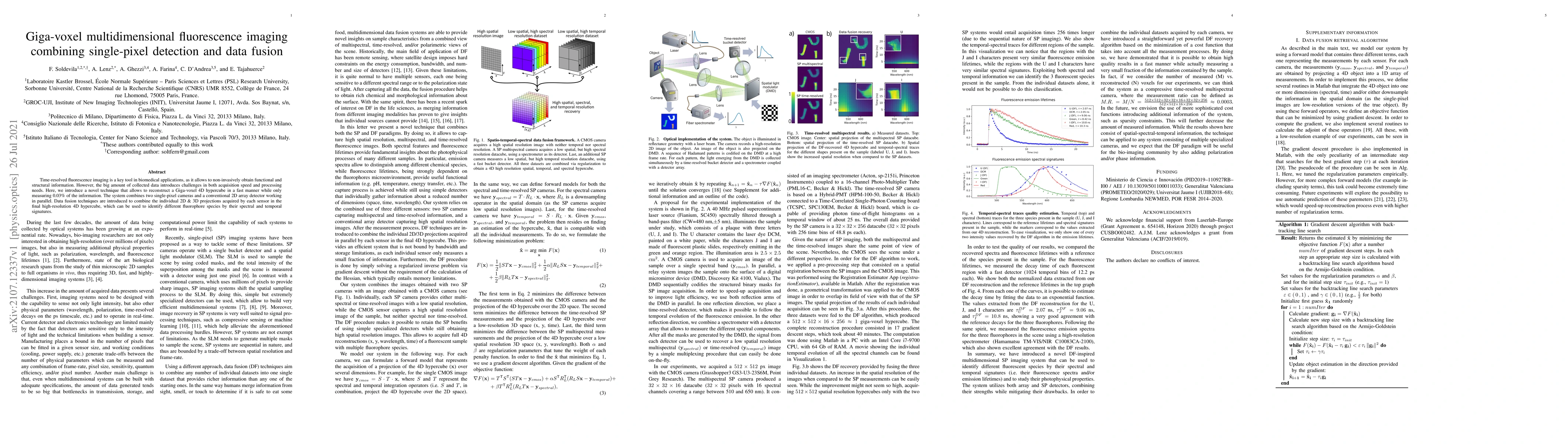 Thumbnail for Giga-voxel multidimensional fluorescence imaging combining single-pixel
  detection and data fusion