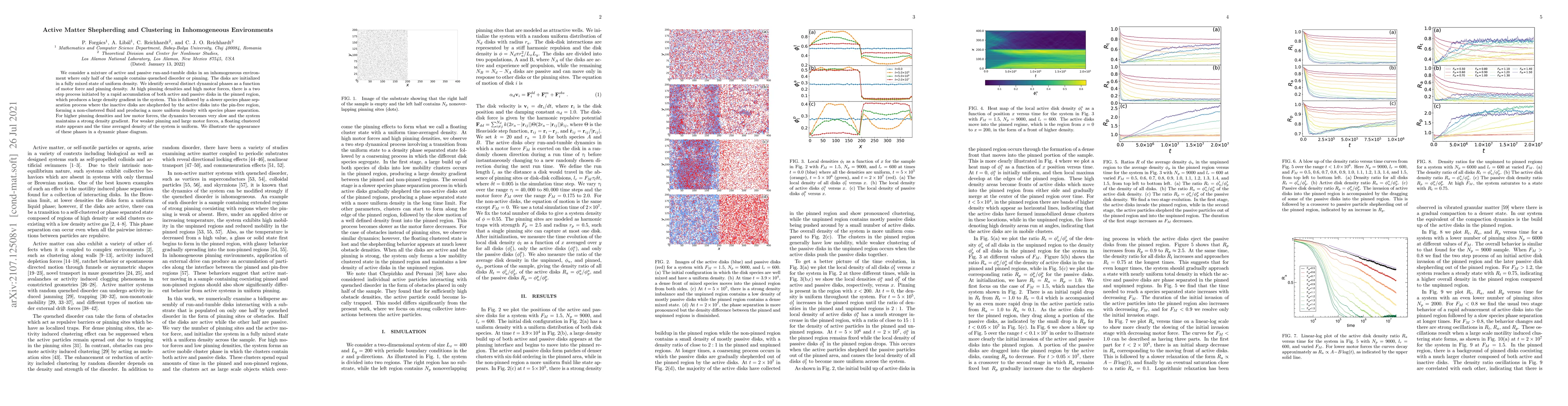 Thumbnail for Active Matter Shepherding and Clustering in Inhomogeneous Environments