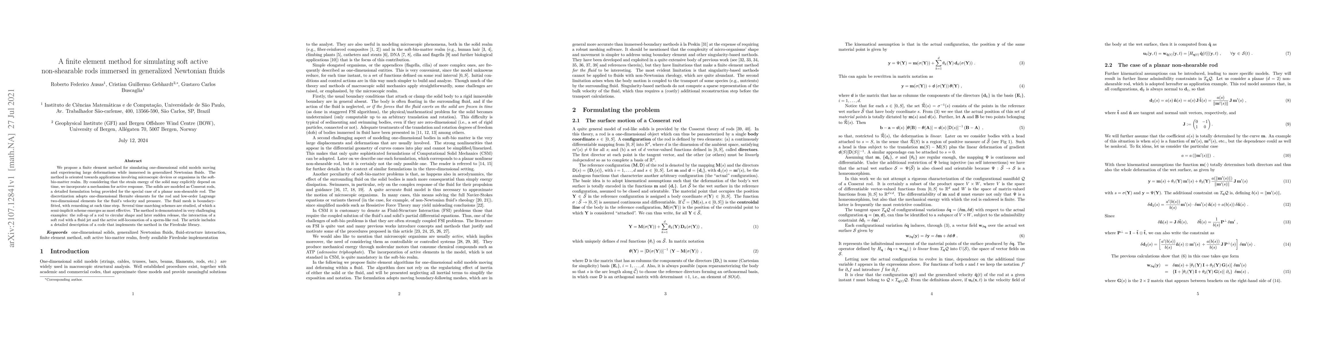 Thumbnail for A finite element method for simulating soft active non-shearable rods
  immersed in generalized Newtonian fluids
