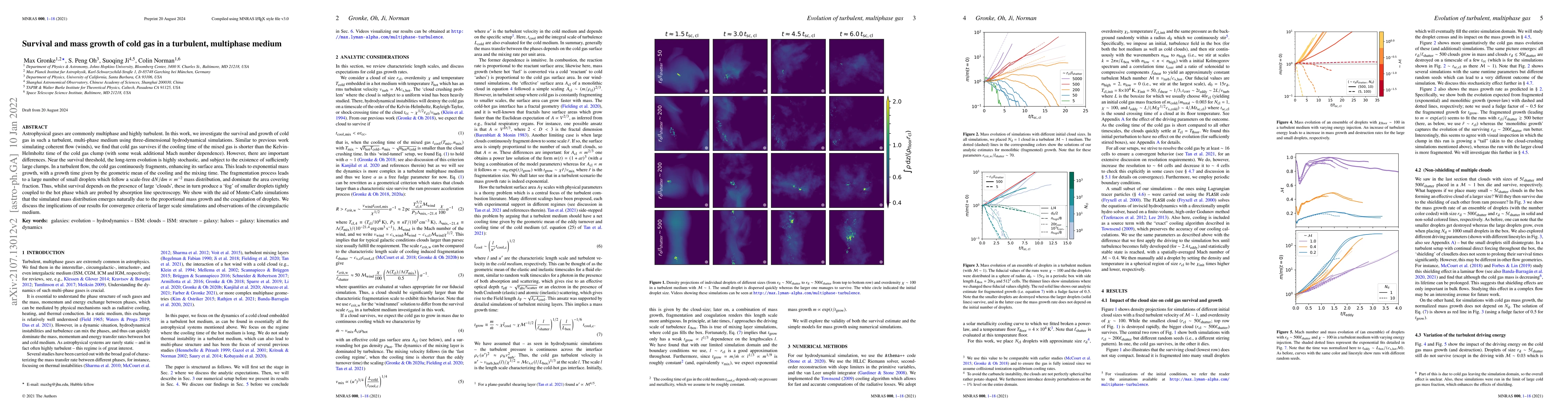 Thumbnail for Survival and mass growth of cold gas in a turbulent, multiphase medium