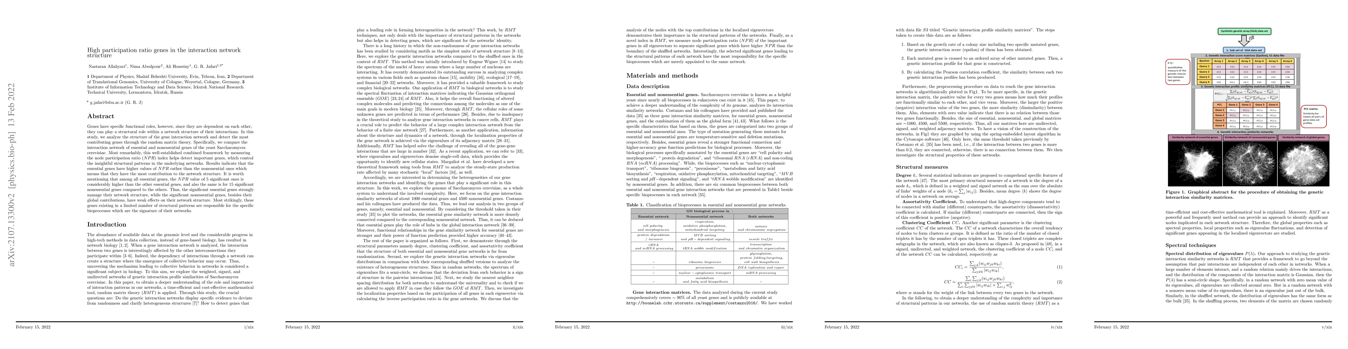 Thumbnail for High participation ratio genes in the interaction network structure