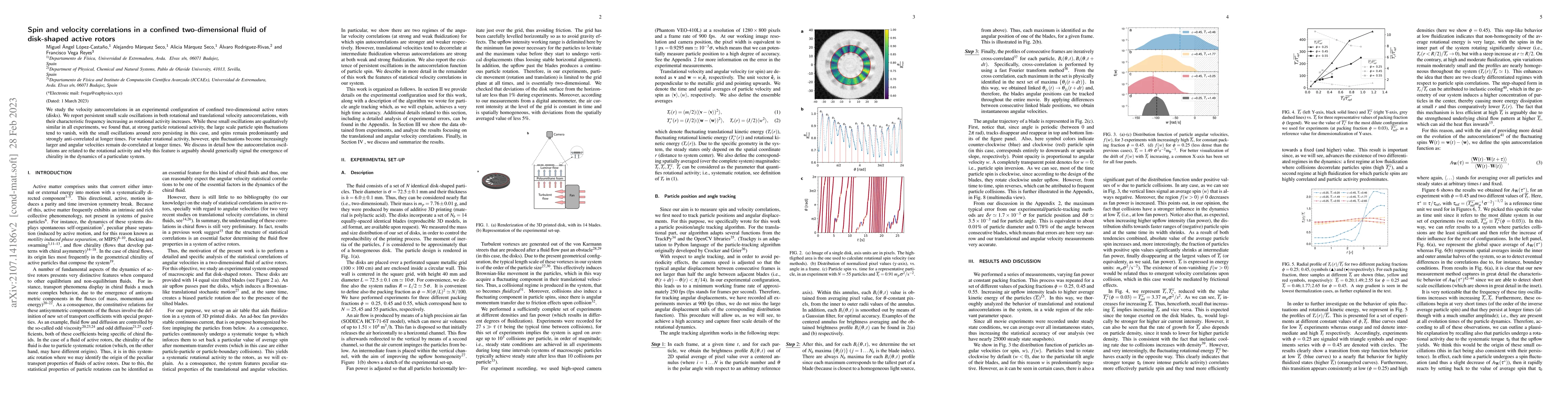 Thumbnail for Spin and velocity correlations in a confined two-dimensional fluid of
  disk-shaped active rotors