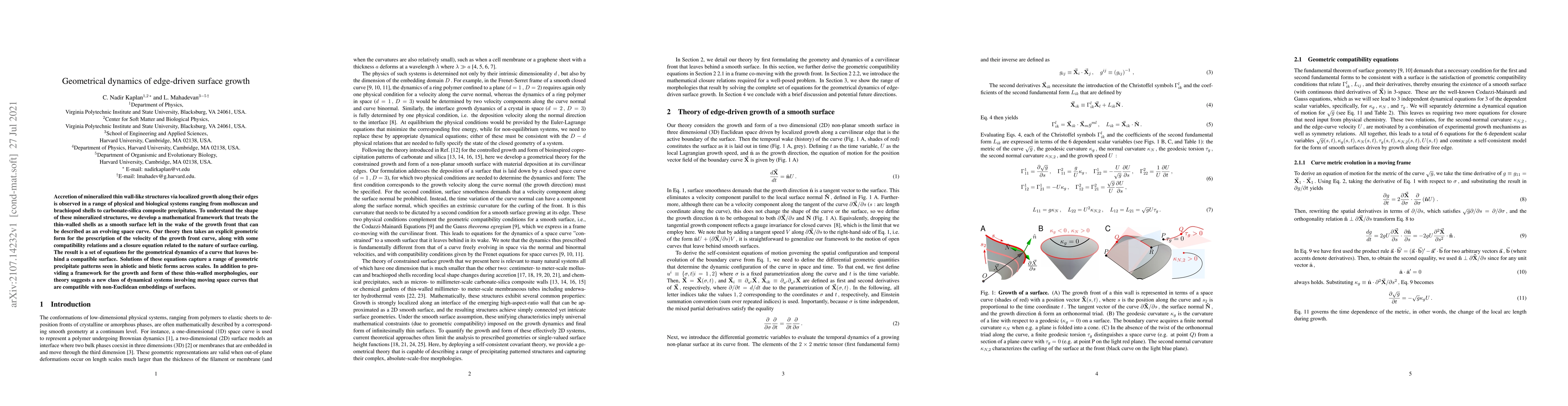 Thumbnail for Geometrical dynamics of edge-driven surface growth