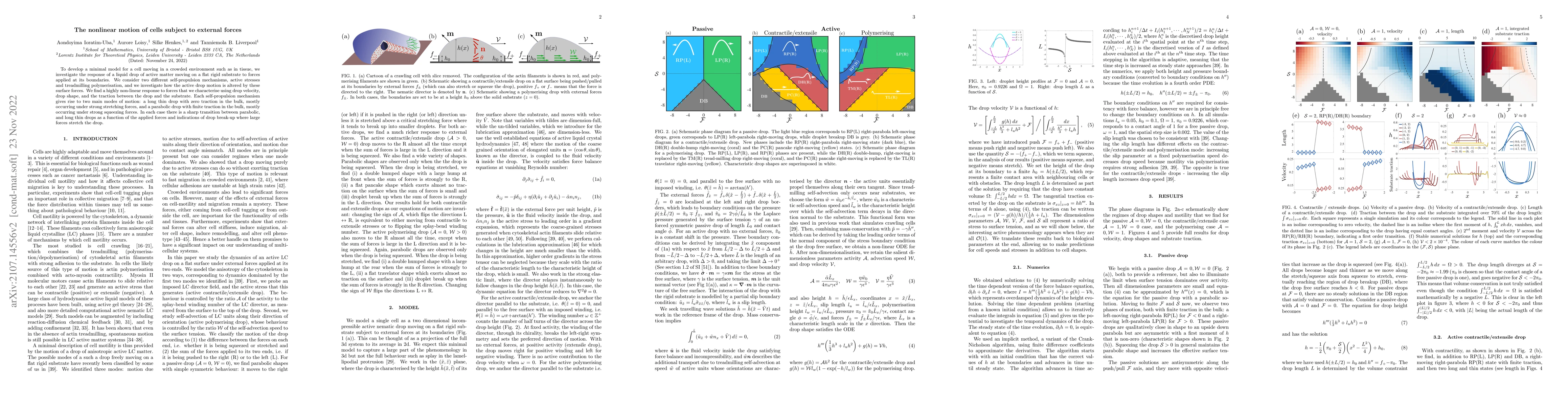 Thumbnail for The nonlinear motion of cells subject to external forces