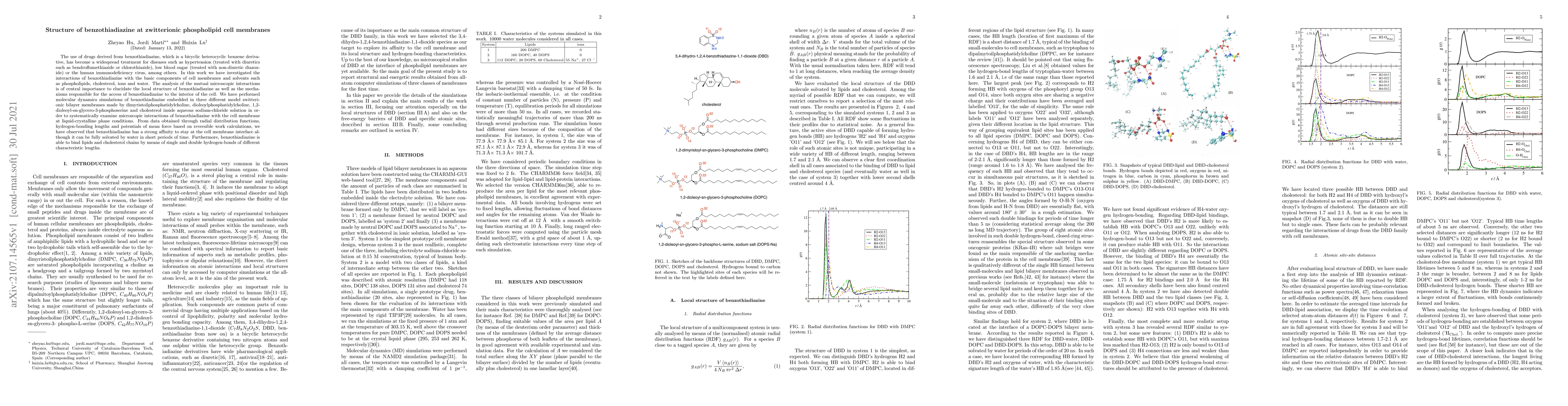 Thumbnail for Structure of benzothiadiazine at zwitterionic phospholipid cell
  membranes