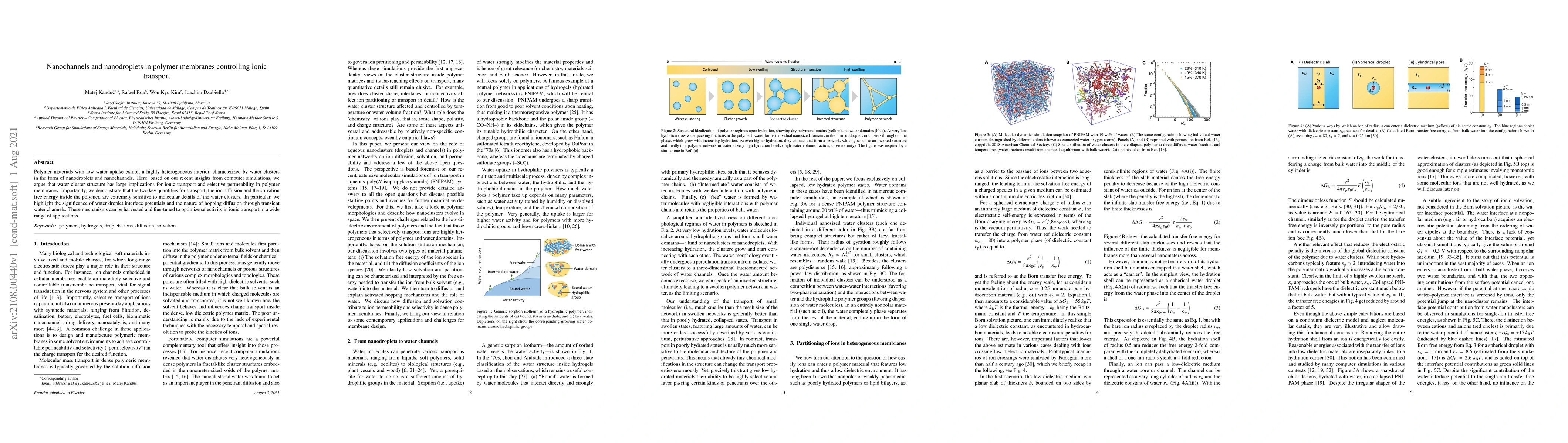 Thumbnail for Nanochannels and nanodroplets in polymer membranes controlling ionic
  transport