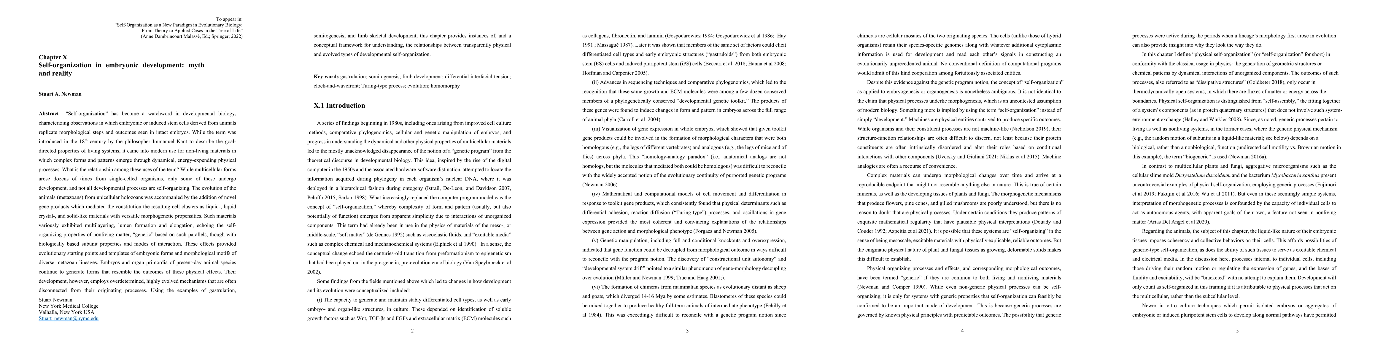 Thumbnail for Self-organization in embryonic development: myth and reality
