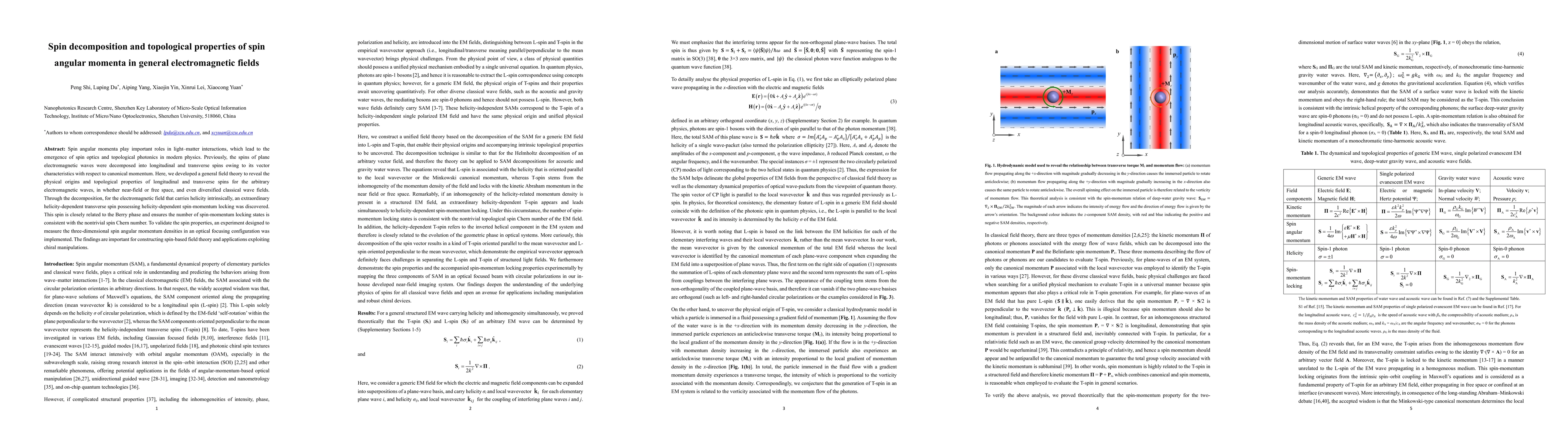 Thumbnail for Spin decomposition and topological properties in a generic
  electromagnetic field