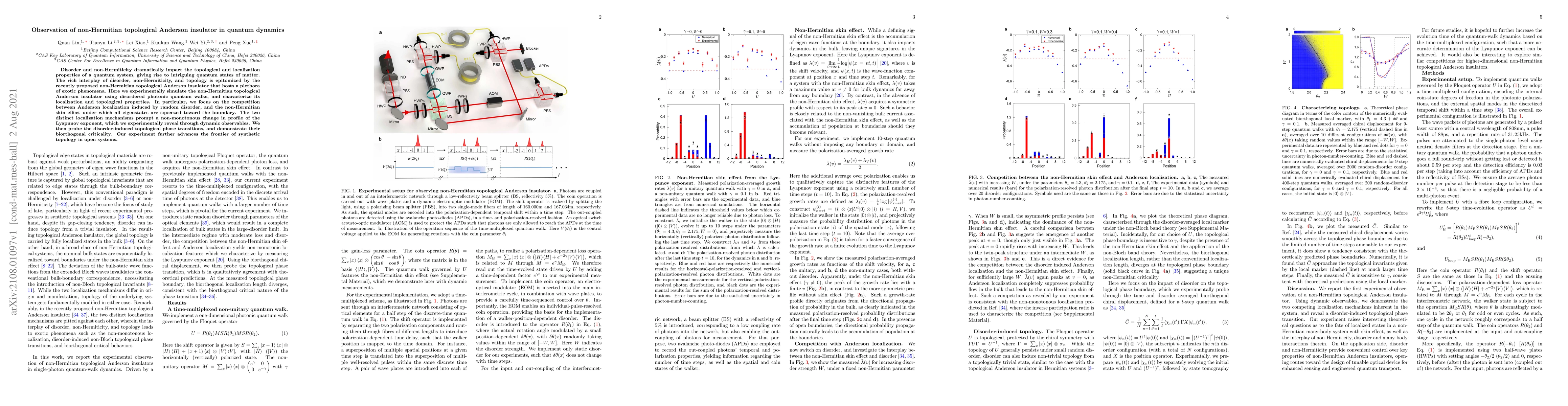 Thumbnail for Observation of non-Hermitian topological Anderson insulator in quantum
  dynamics