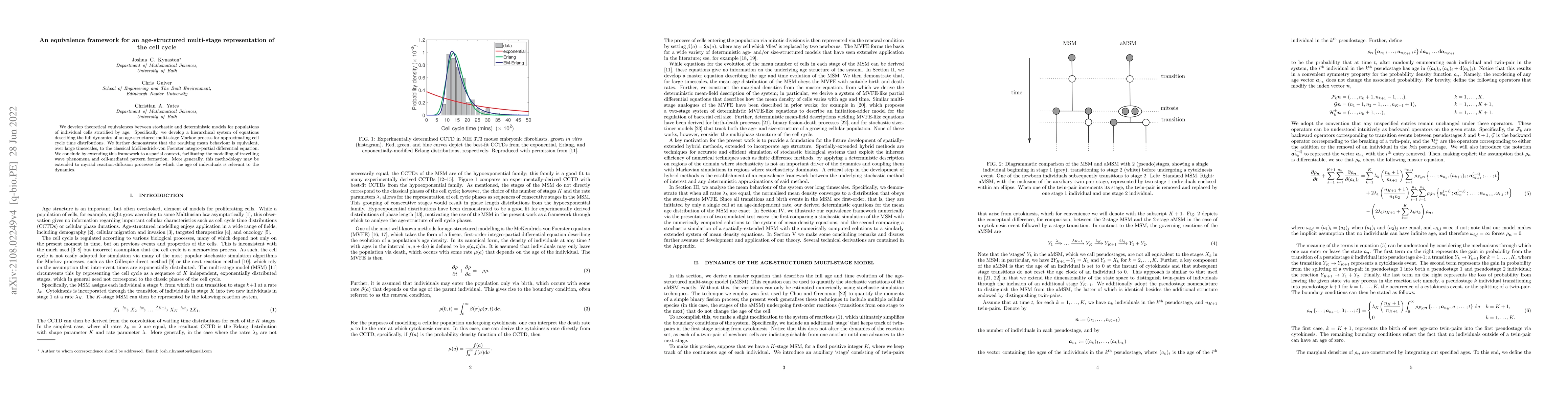 Thumbnail for An equivalence framework for an age-structured multi-stage
  representation of the cell cycle