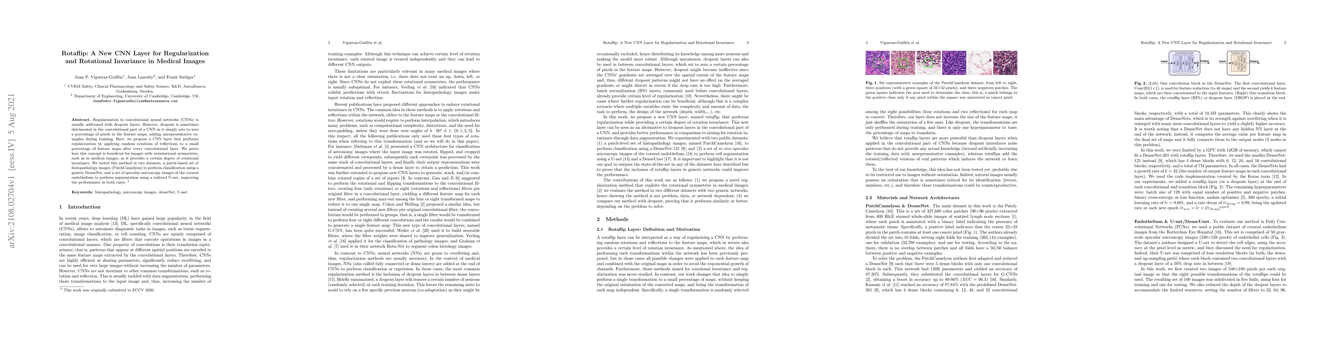 Thumbnail for Rotaflip: A New CNN Layer for Regularization and Rotational Invariance
  in Medical Images