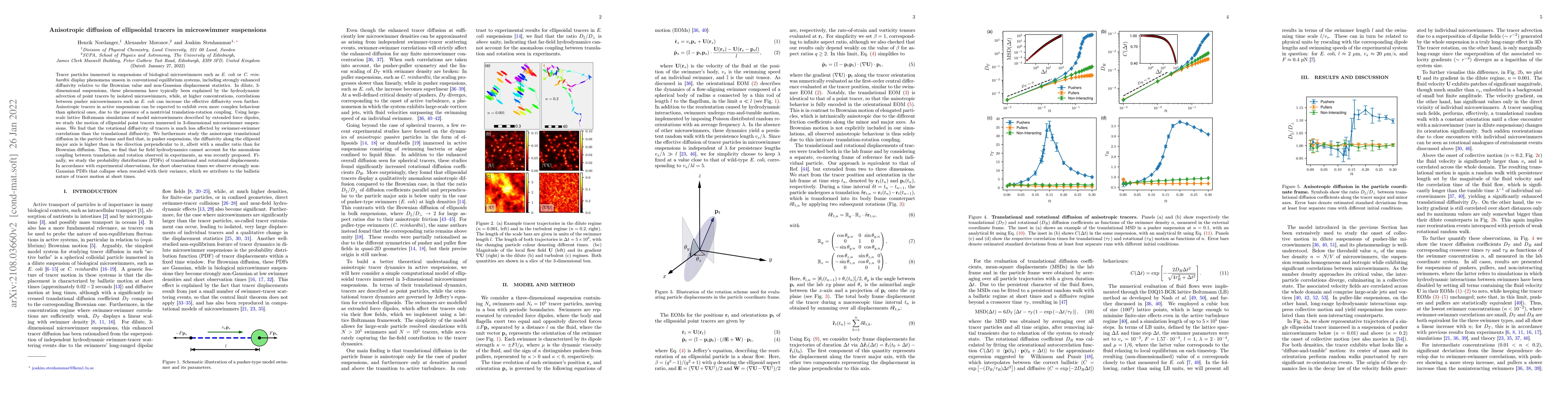 Thumbnail for Anisotropic diffusion of ellipsoidal tracers in microswimmer suspensions