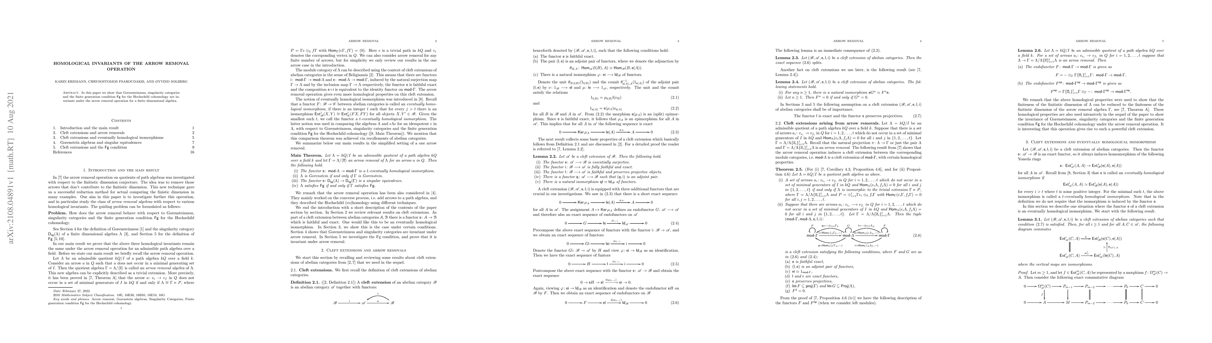 Thumbnail for Homological invariants of the arrow removal operation