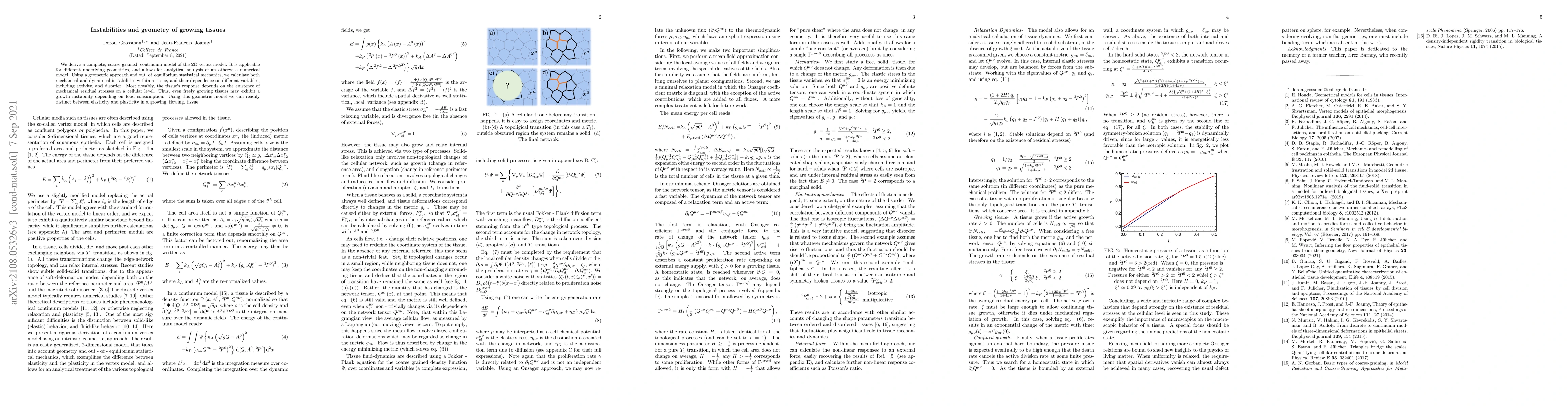 Thumbnail for Instabilities and geometry of growing tissues