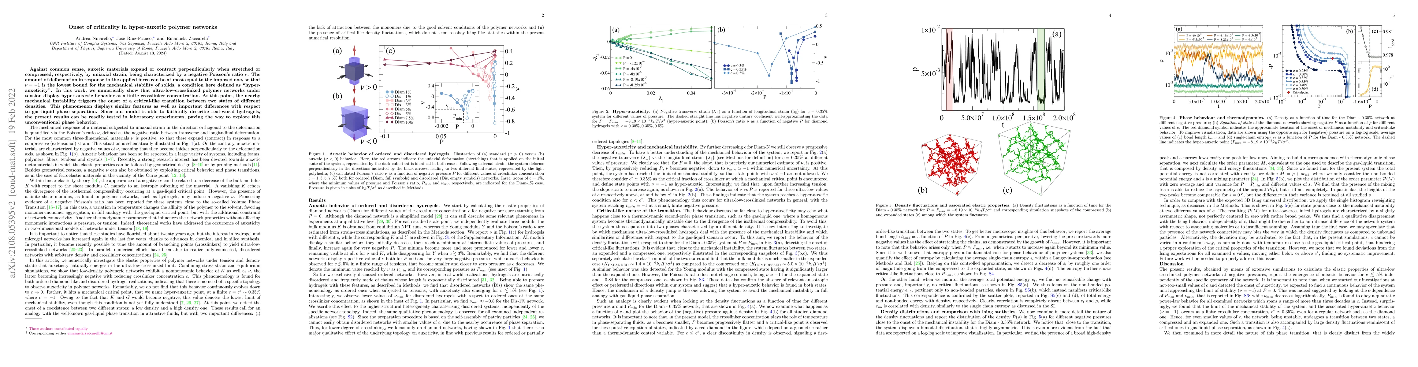 Thumbnail for Onset of criticality in hyper-auxetic polymer networks