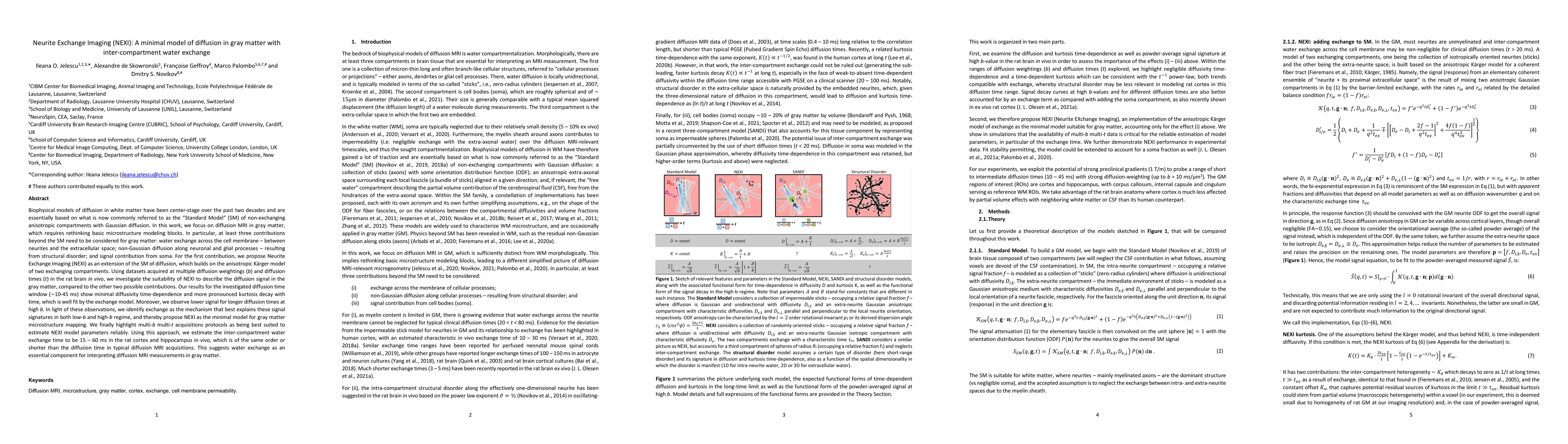 Thumbnail for Neurite Exchange Imaging (NEXI): A minimal model of diffusion in gray
  matter with inter-compartment water exchange