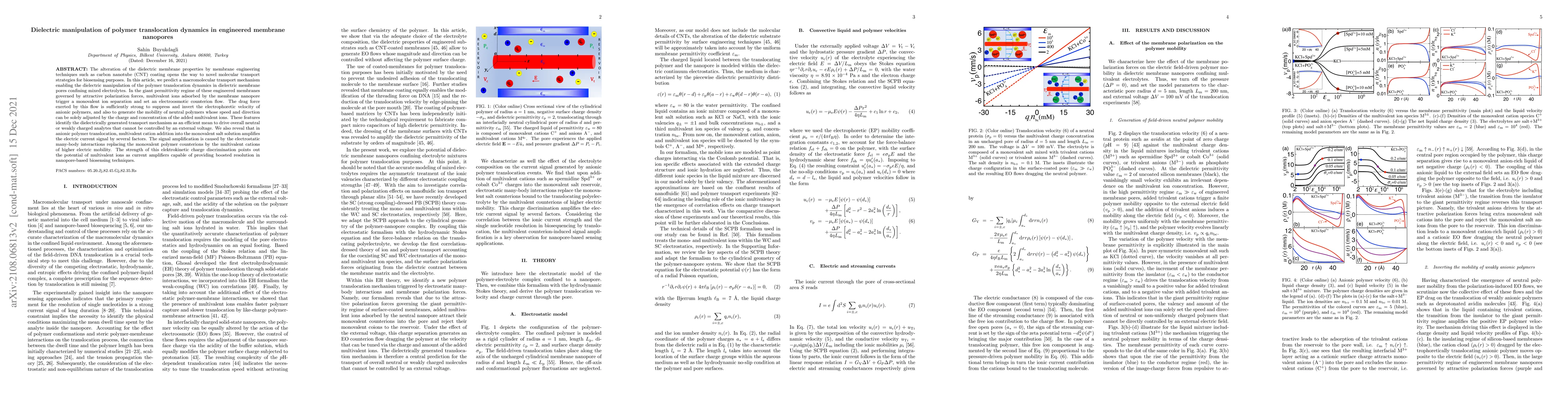 Thumbnail for Dielectric manipulation of polymer translocation dynamics in engineered
  membrane nanopores