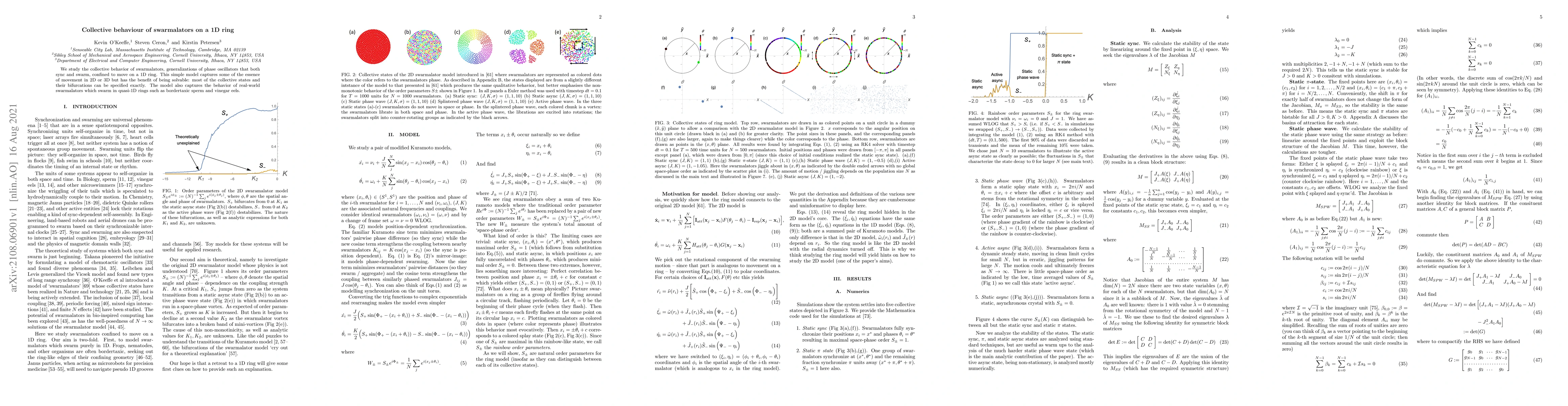 Thumbnail for Collective behaviour of swarmalators on a 1D ring