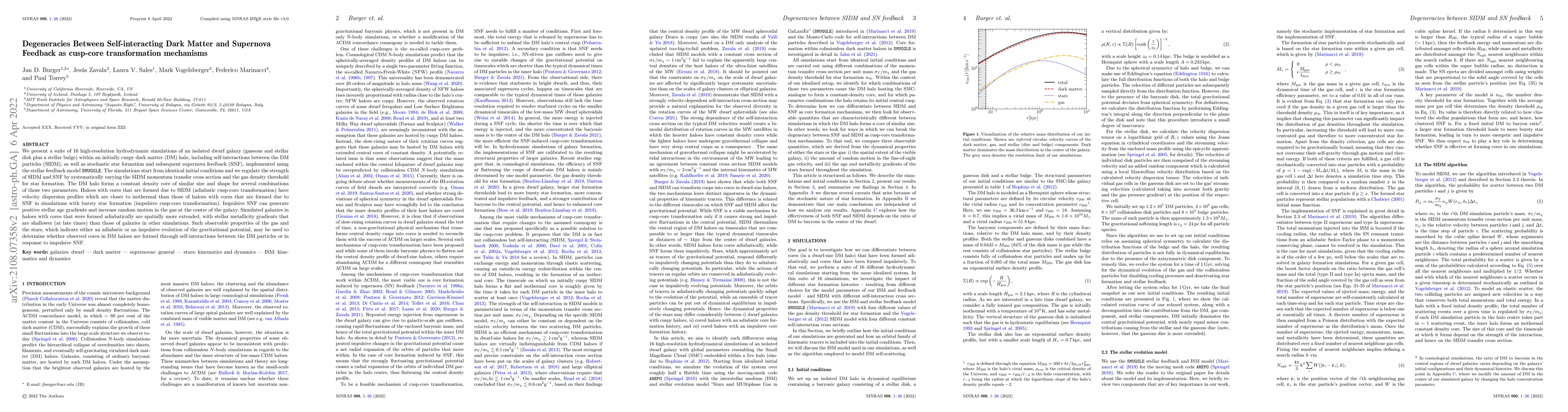 Thumbnail for Degeneracies Between Self-interacting Dark Matter and Supernova Feedback
  as cusp-core transformation mechanisms