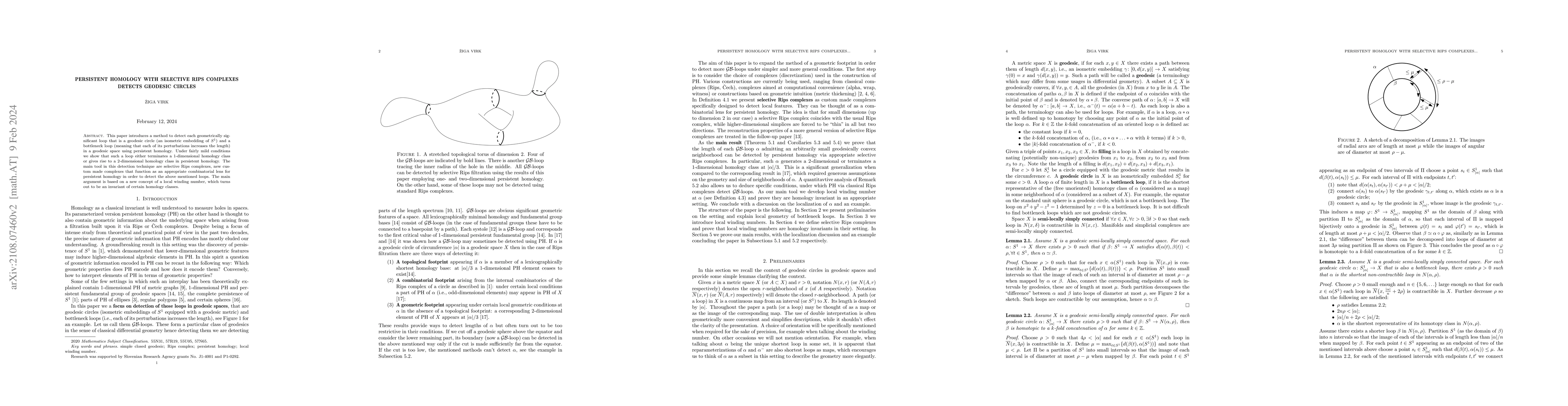 Thumbnail for Persistent Homology with Selective Rips complexes detects geodesic
  circles