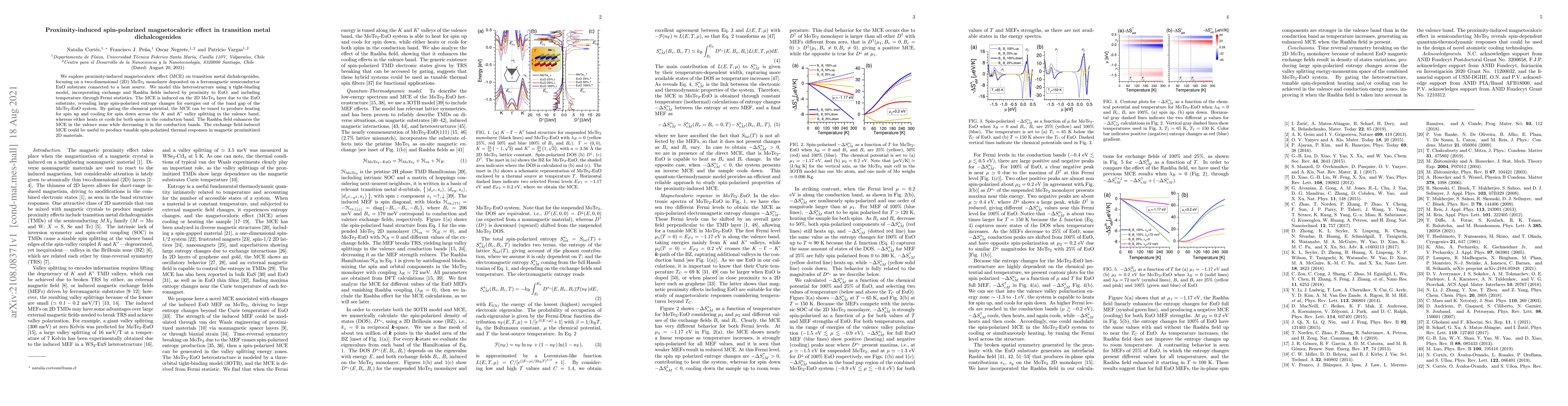 Thumbnail for Proximity-induced spin-polarized magnetocaloric effect in transition
  metal dichalcogenides
