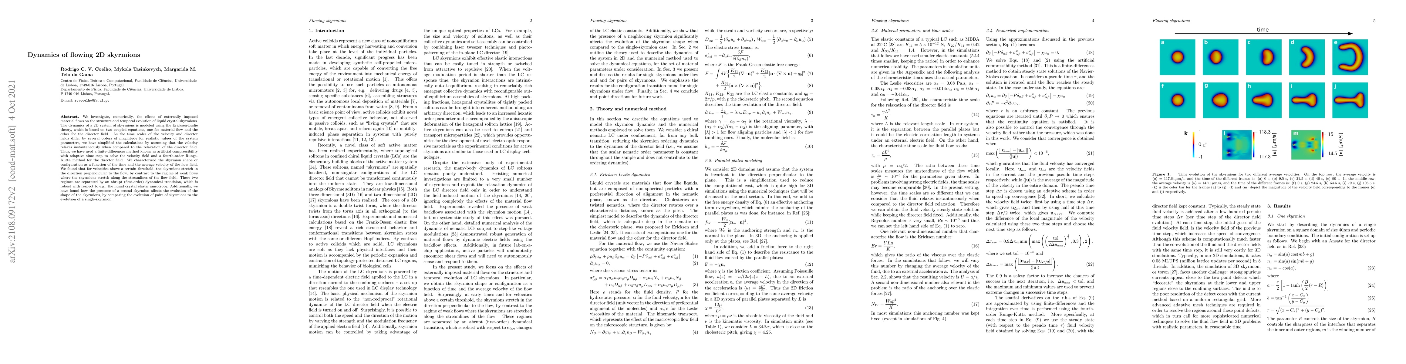 Thumbnail for Dynamics of flowing 2D skyrmions